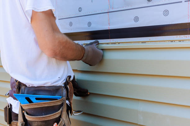 Best Vinyl Siding Installation  in Vienna, GA